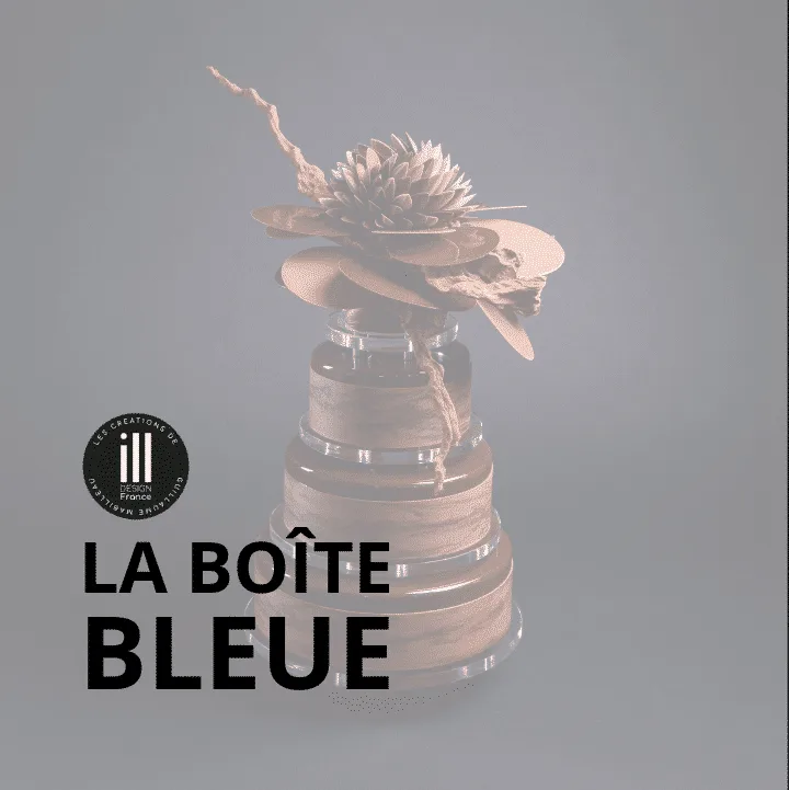 La boîte bleue illDESIGN France